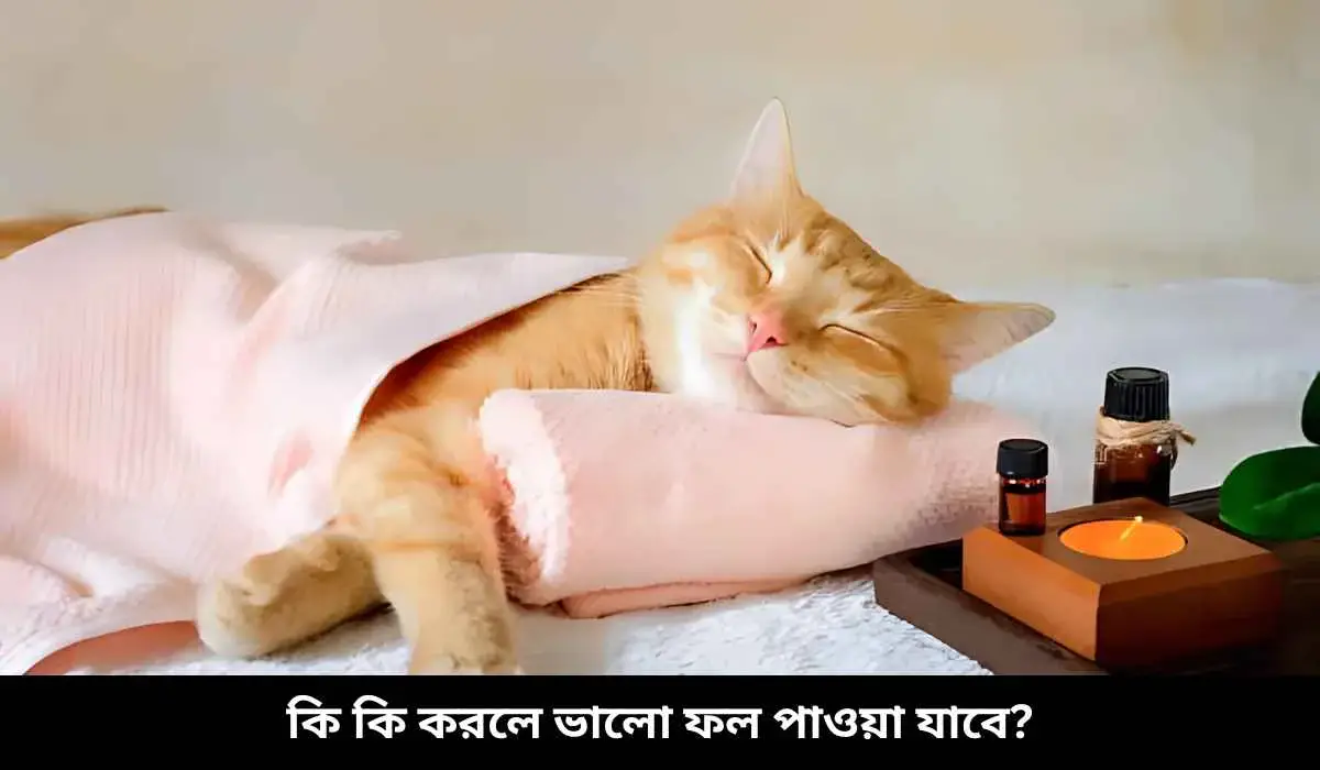কি কি করলে ভালো ফল পাওয়া যাবে