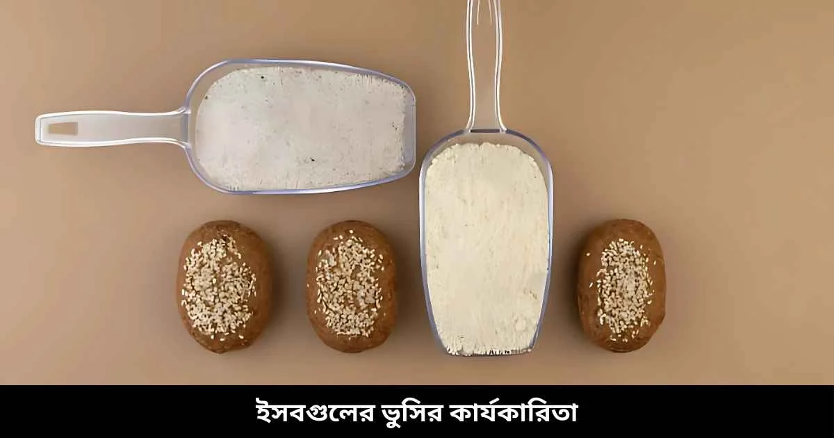 ইসবগুলের ভুসির কার্যকারিতা